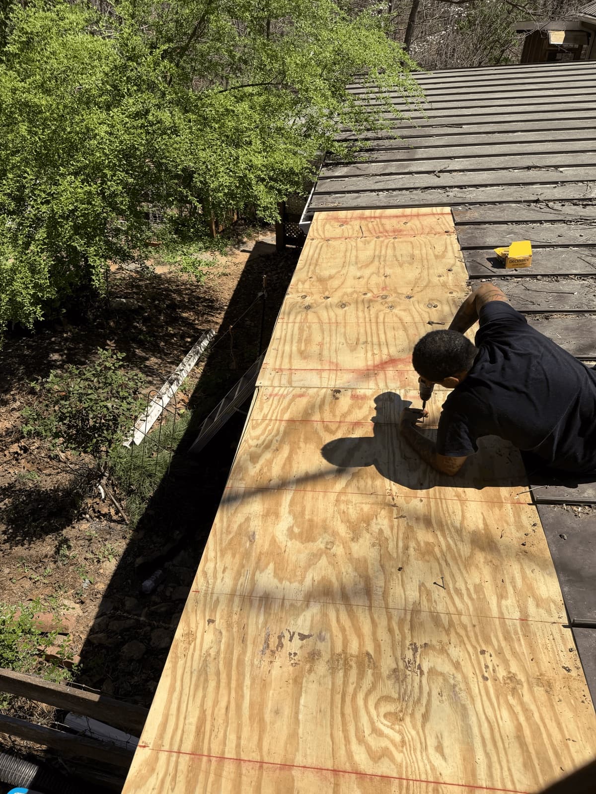 Installing plywood roofing panels